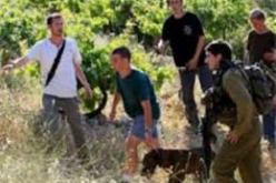مستوطنون يشرعون في التنقيب عن الاثار الفلسطينية وسرقتها