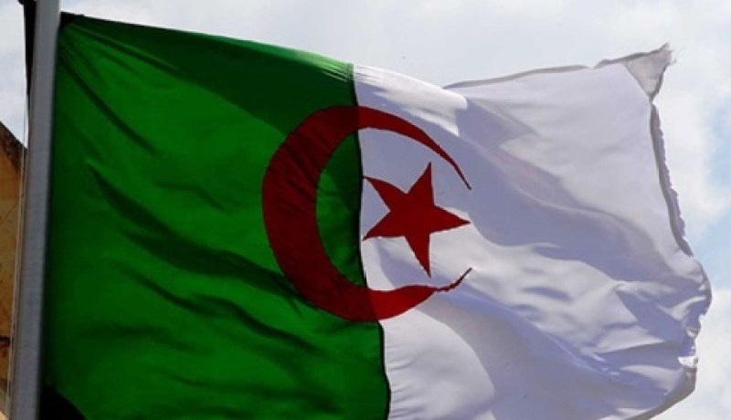 التجربة الصينية في إقامة شراكة بين القطاعين العام والخاص تشكل نموذجا للجزائر