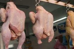 أمام ارتفاع أسعار اللحوم البيضاء إلى 900 دينار ..دعوات للتدخل للقضاء على المضاربة