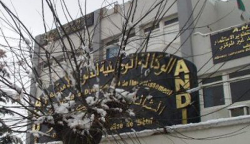 مستفيدون من دعم «أندي» يستحدثون 321 ألف منصب وهمي