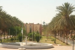 تخصيص 2 مليار دج لتجسيد 13 مشروعا في مجال البيئة بولاية ورقلة
