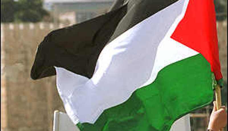 محرك البحث الدولي غوغل يعترف بدولة فلسطين