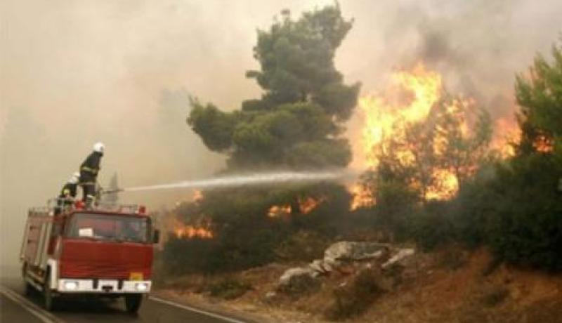 إخماد حريقي غابات مهولين ببلدية بوعيشون في المدية بعد جهد كبير