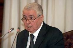 انتخاب اللجان الولائية لمؤتمر حزب التجمع الوطني الديمقراطي و تنصيبها يوم 7 سبتمبر الجاري