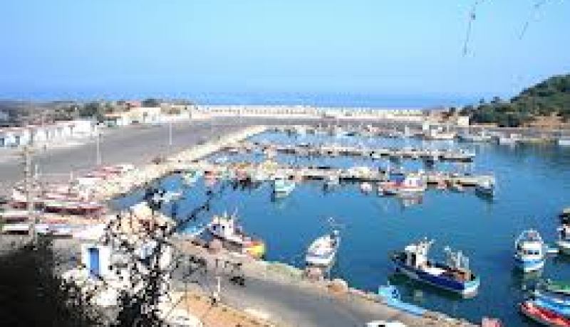 الدولة وفرت كل الوسائل اللازمة لاستحداث 200 ألف مؤسسة في جيجل