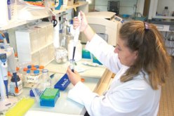 الباحثون الدائمون يدعون الى انشاء وزارة تخصص للبحث العلمي