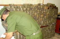 حجز 5 قناطير كيف بباب العسة في تلمسان