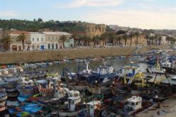 تجند كبير للمتطوعين خلال حملة مواني زرقاء  عبر مختلف الولايات الساحلية