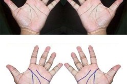 المعنى الحقيقي للخطوط الموجودة في يد الانسان