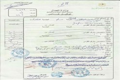 أول توكيل للبرادعي لإدارة شئون البلاد