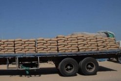 حجز 700 كيس من الإسمنت و 20 قنطارا من الأعلاف بالمسيلة