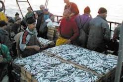 أوسعيد يكشف عن وضع تسهيلات هامة لتشجيع الشباب للاستثمار في الصيد البحري