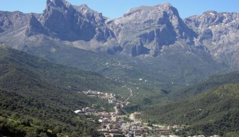 احتجاج العشرات من سكان برقيس بسبب نقص المياه و عدم اصلاح قنوات الصرف الصحي