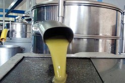 حجز كميات هائلة من زيت الزيتون المغشوشة في ولاية الوادي