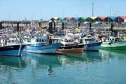 أكثر من 300 متطوع في حملة تنظيف الموانئ السبت القادم بمستغانم