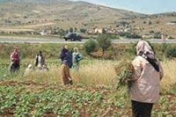 أكثر من 3 ملايير د.ج لمشاريع التنمية الريفية الجديدة بتبسة