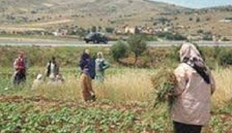 أكثر من 3 ملايير د.ج لمشاريع التنمية الريفية الجديدة بتبسة