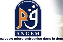 إستحداث 550 منصب شغل في ظرف ثلاثة أشهر بفضل جهاز القرض المصغر في معسكر