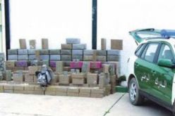 حجز 10 قناطير من الكيف المعالج بأقصى غرب الوطن