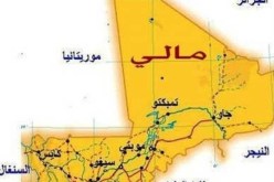 الجزائر لعبت دورا فعالا في صمود الشعب المالي