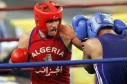 الفديرالية الجزائرية للملاكمة تقترح عز الدين عقون مديرا فنيا وطنيا جديدا