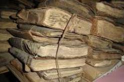 ضياع نحو 28 ألف مخطوط خلال القرن الماضي في أدرار