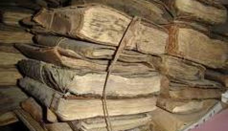 ضياع نحو 28 ألف مخطوط خلال القرن الماضي في أدرار