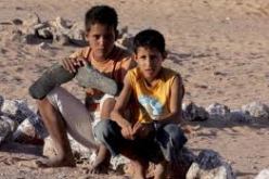 ما لا يقل عن 120 طفل صحراوي كشاف يقيمون بمخيم صيفي بعنابة