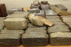 الجمارك تحجز 15 قنطار من الكيف المعالج  بالغزوات