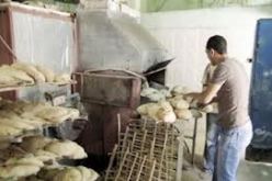 500 منصب شغل لتدعيم المخابز باليد العاملة المؤهلة بقسنطينة