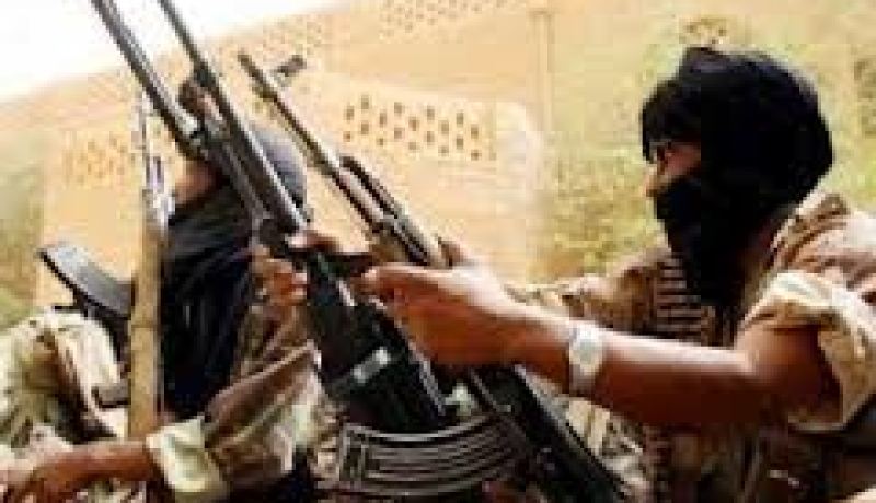 مسؤول إفريقي يدعو إلى تحويل بعثة الدعم الدولية في مالي أفيسما إلى الأمم  المتحدة