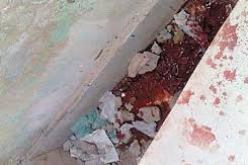 عرس يتحول الى جنازة بسبب انهيار جدار في ورقلة