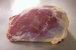 تصدير 228 طنا من المنتجات الصيدية المجمدة بوهران