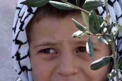 الكشافة تدعو إلى ترقية حياة الطفل الفلسطيني