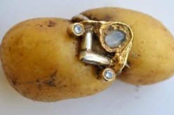 العثور في حبة بطاطا على خاتم مفقود منذ 3 أعوام