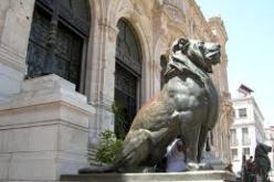 دخول سوق الماشية بالكرمة حيز الخدمة قريبا  في وهران