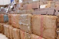 إحباط محاولة إدخال 10 قناطير من المخدرات قادمة من المغرب