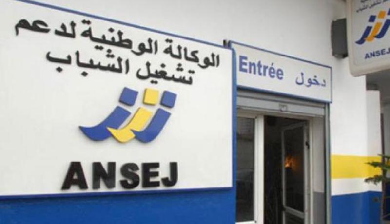 تمويل أزيد من 240 مشروع بولاية ورقلة عن طريق الوكالة الوطنية لدعم تشغيل الشباب