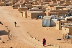 الملف الصحراوي على طاولة لجنة تصفية الاستعمار الأممية