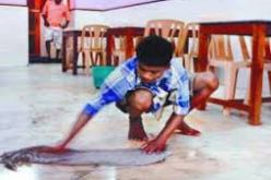 منظمة العمل الدولية تحصي 10.5ملايين طفل يعملون خدما في المنازل