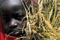 الجزائر تدعو الى تحسين الأنظمة الغذائية من اجل مكافحة سوء التغذية و المجاعة