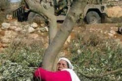 الوضع المالي لفلسطين في خطر ويجب علينا العمل على مساعدة الفلسطينيين