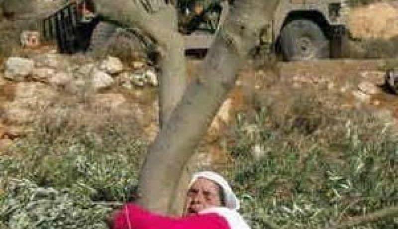 الوضع المالي لفلسطين في خطر ويجب علينا العمل على مساعدة الفلسطينيين
