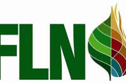 الافلان يؤيد بوتفليقة ان ترشح لعهدة رابعة