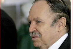 الجزائر وجنوب إفريقيا تدعوان إلى إيلاء اهتمام أكبر لمسائل الأمن في إفريقيا