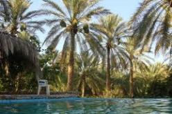 إنقاذ شخصين كانا عالقين في الأوحال وامتصاص المياه أمام مرفق صحي ببسكرة