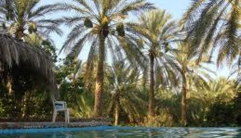 إنقاذ شخصين كانا عالقين في الأوحال وامتصاص المياه أمام مرفق صحي ببسكرة