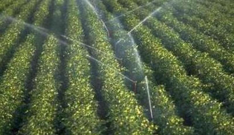 التجديد الريفي مس أزيد من 7 ملايين شخص خلال أربع سنوات