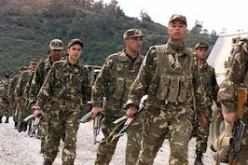 الفوج السينوتقني.. دعم ملموس لنشاط وحدات الدرك الوطني في الميدان