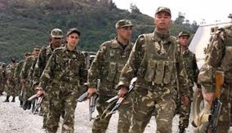 الفوج السينوتقني.. دعم ملموس لنشاط وحدات الدرك الوطني في الميدان